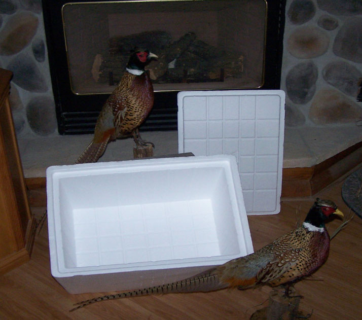 Pheasant Cooler B