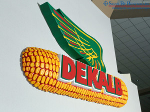 Signs By Benchmark cellular plastic Dekalb logo